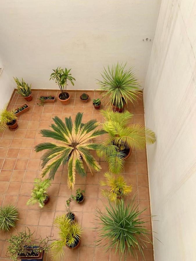 Apartamento En El Centro, Tranquilo Y Luminoso Málaga Extérieur photo